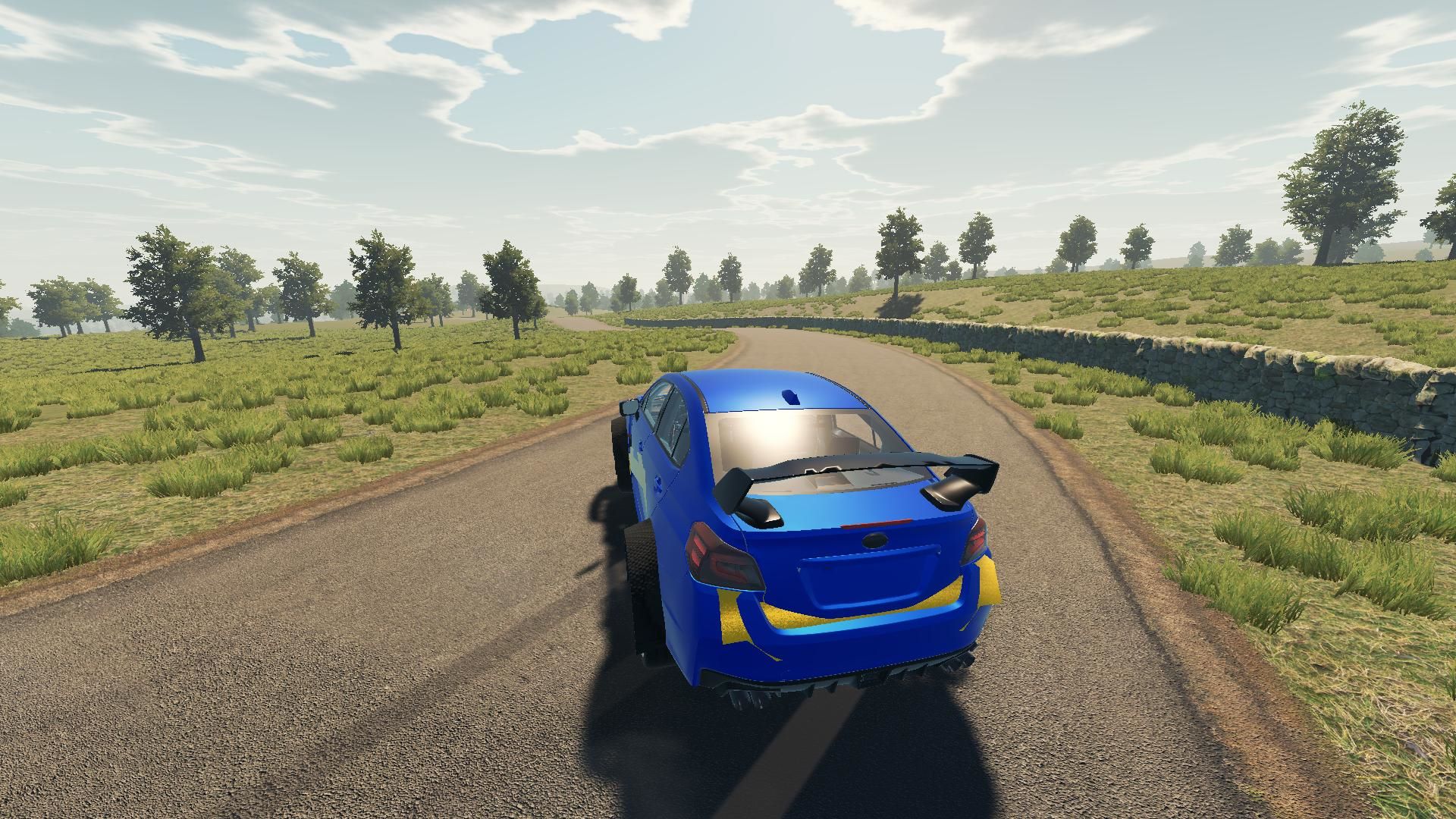 Rally gameplay screenshot