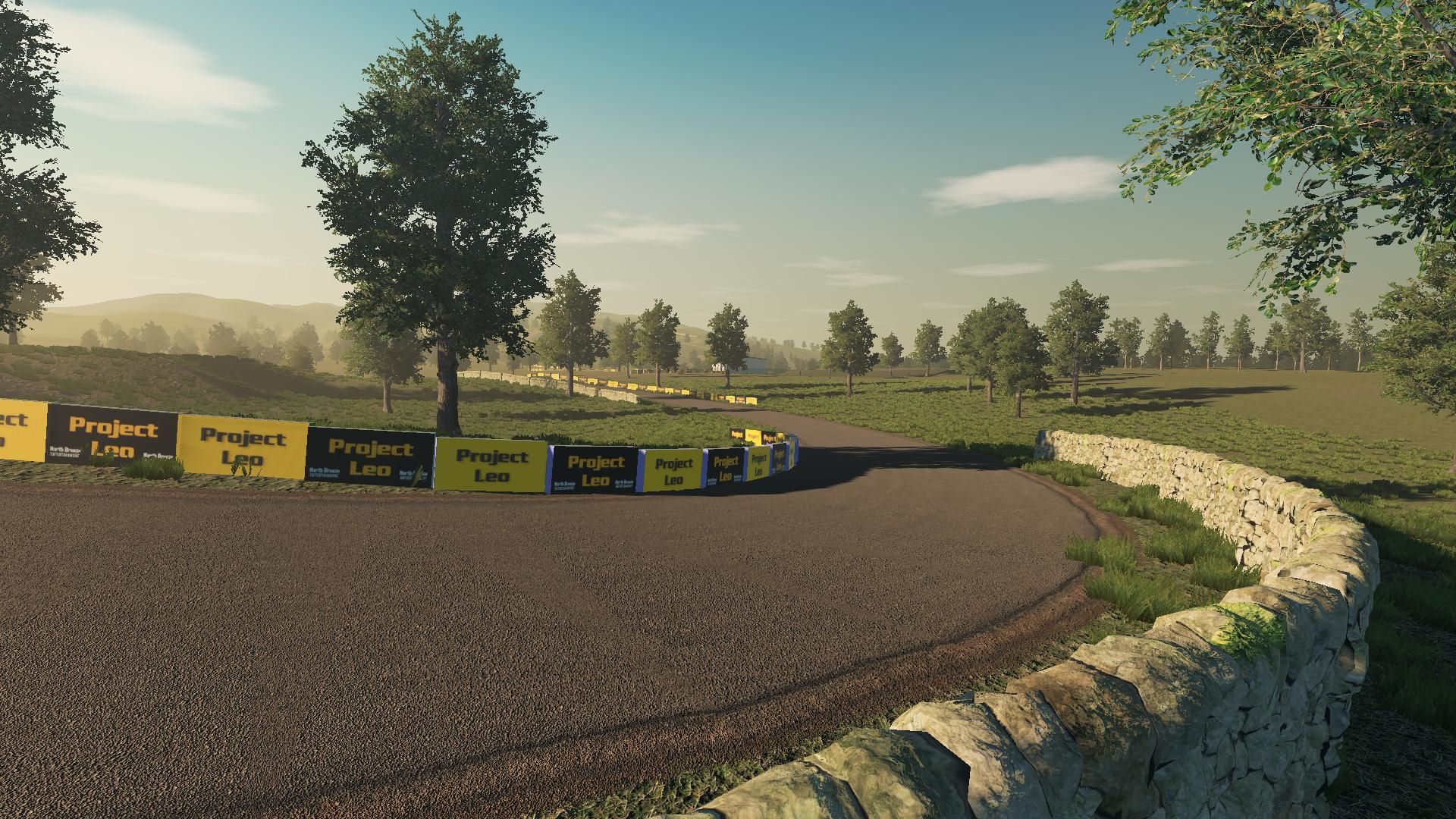 Rally car driving through a forest